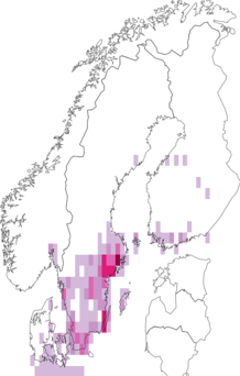 Fyndkarta för rosenmalva. Datakälla: GBIF