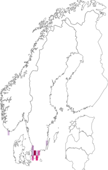 Fyndkarta för klintkornlöpare. Datakälla: GBIF