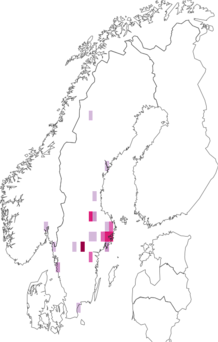 Fyndkarta för nordslinke. Datakälla: GBIF