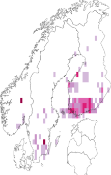 Kaarta Coleophora mayrella. Data source: GBIF