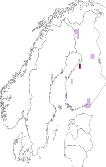 Fyndkarta för Loxocera sylvatica. Datakälla: GBIF