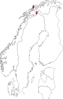 Kaarta Bacidia illudens. Data source: GBIF