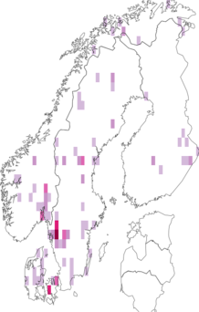 Fyndkarta för blekröd trattskivling. Datakälla: GBIF