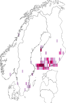 Kaarta Coleophora gryphipennella. Data source: GBIF