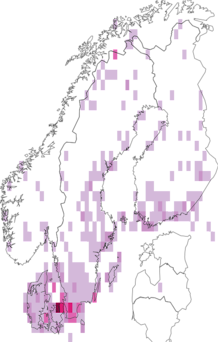 Fyndkarta för Thereva. Datakälla: GBIF
