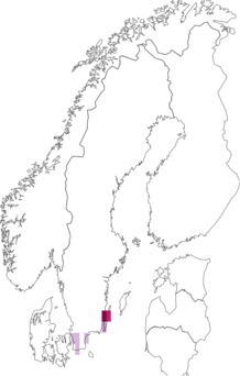 Fyndkarta för Ropalopus. Datakälla: GBIF