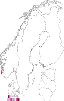 Fyndkarta för Oenothera parviflora. Datakälla: GBIF