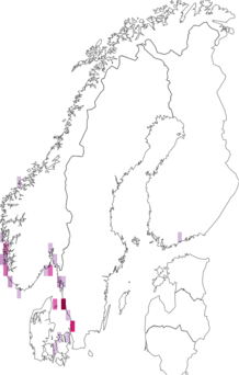 Kaarta Lobesia littoralis. Data source: GBIF