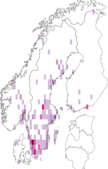 Kaarta Tipulidae. Data source: GBIF