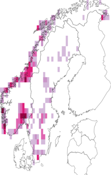 Fyndkarta för flodpärlmussla. Datakälla: GBIF