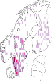 Kaarta Sciuro-hypnum plumosum. Data source: GBIF