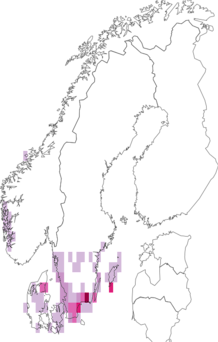 Fyndkarta för stiftklotterlav. Datakälla: GBIF
