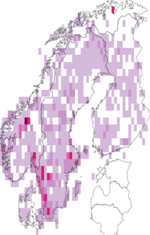Fyndkarta för bryummossor. Datakälla: GBIF