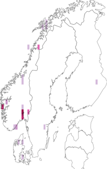 Fyndkarta för Urceolella carestiana. Datakälla: GBIF
