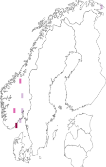 Kaarta Puccinia maculosa. Data source: GBIF