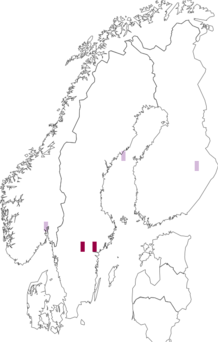 Fyndkarta för Lophodermium paeoniae. Datakälla: GBIF