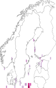 Fyndkarta för slät havstulpan. Datakälla: GBIF