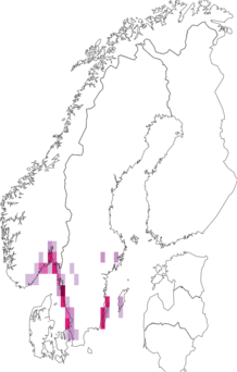 Fyndkarta för lövvårtbitare. Datakälla: GBIF