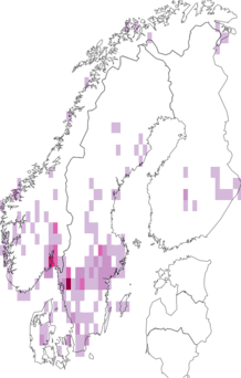 Fyndkarta för grå trattskivling. Datakälla: GBIF