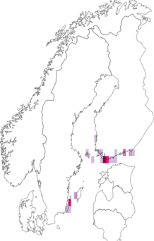 Kaarta Coleophora directella. Data source: GBIF