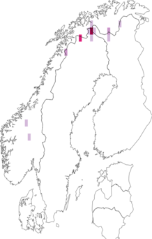 Fyndkarta för norskt fjällfly. Datakälla: GBIF