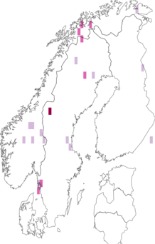 Fyndkarta för Aspicilia aquatica. Datakälla: GBIF