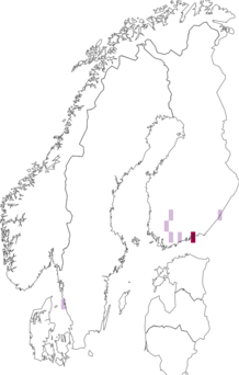 Fyndkarta för Loxocera nigrifrons. Datakälla: GBIF