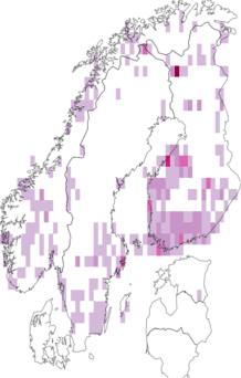 Fyndkarta för blåbärsikelvecklare. Datakälla: GBIF