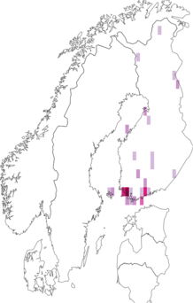 Fyndkarta för Rachispoda. Datakälla: GBIF