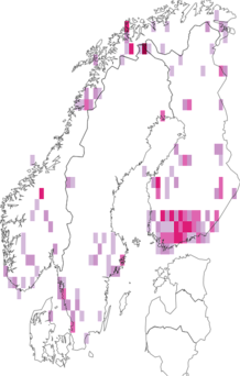 Fyndkarta för röllekrullvecklare. Datakälla: GBIF