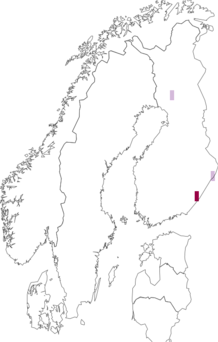 Fyndkarta för pärlfläckvecklare. Datakälla: GBIF