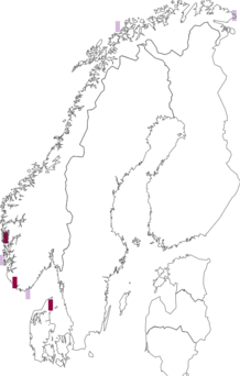 Kaarta Porphyra miniata. Data source: GBIF
