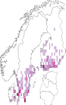 Fyndkarta för snövit gaffelsvans. Datakälla: GBIF