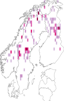 Fyndkarta för nordlig bäckmossa. Datakälla: GBIF