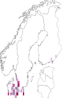 Fyndkarta för asterkapuschongfly. Datakälla: GBIF