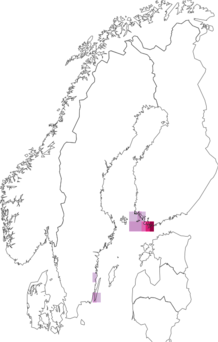 Fyndkarta för rödgulhakad rotvecklare. Datakälla: GBIF