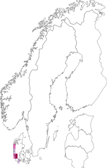 Fyndkarta för Epichnopterygini. Datakälla: GBIF