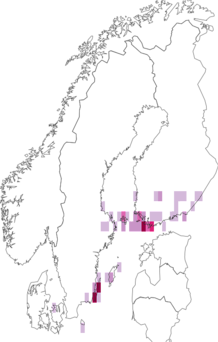 Fyndkarta för malörtstjälkvecklare. Datakälla: GBIF