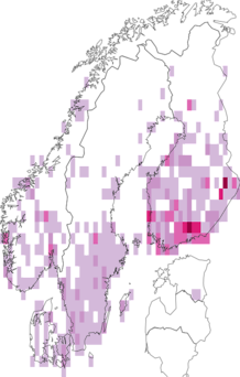 Fyndkarta för purpurfärgat metallfly. Datakälla: GBIF