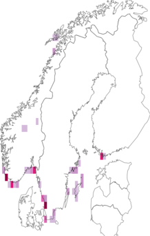 Fyndkarta för kuststrandkrypare. Datakälla: GBIF