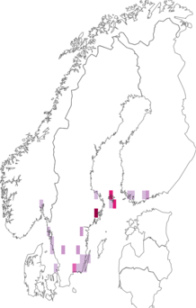 Fyndkarta för brunhuvad ekdvärgmal. Datakälla: GBIF