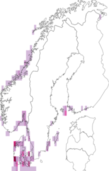 Fyndkarta för saltörter. Datakälla: GBIF