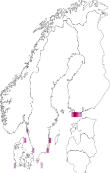 Fyndkarta för vitstrimmigt sandgräsmott. Datakälla: GBIF