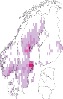 Kaarta Phellinus populicola. Data source: GBIF
