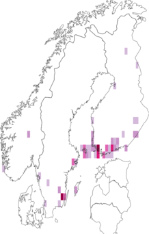 Fyndkarta för granitgranbarkvecklare. Datakälla: GBIF