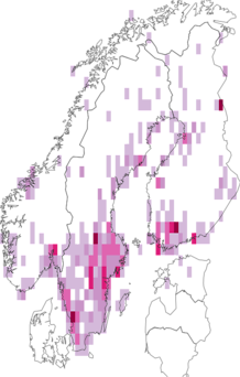 Fyndkarta för rödbandad geting. Datakälla: GBIF