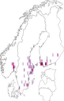 Fyndkarta för Stictopleurus abutilon. Datakälla: GBIF