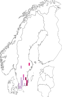 Fyndkarta för violiris. Datakälla: GBIF