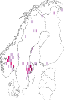 Fyndkarta för dvärghedlav. Datakälla: GBIF
