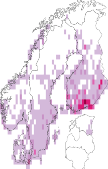 Fyndkarta för Lomaspilis. Datakälla: GBIF